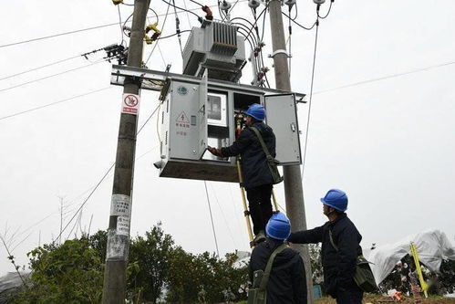 国网四川自贡供电公司 电力建设添动力 乡村振兴展新颜